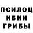 Каннабис гибрид Ross Here