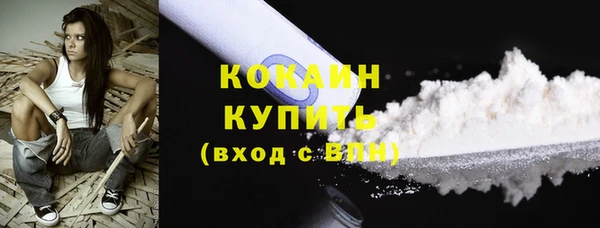 прущие грибы Зеленодольск