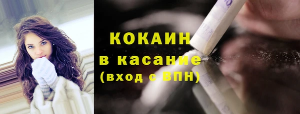 прущие грибы Зеленодольск