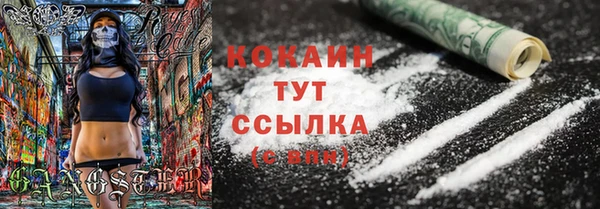 прущие грибы Зеленодольск