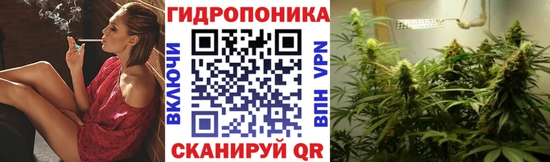 Марихуана OG Kush  Купить  Зуевка 
